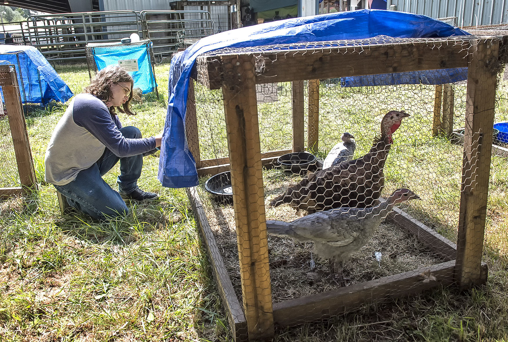 Cool Birds Flock to the Wahkiakum Fair
